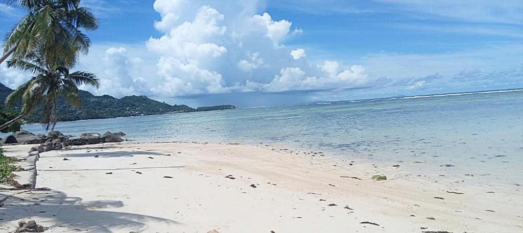 L'Echappee Du Cap Daire Pointe Au Sel Dış mekan fotoğraf